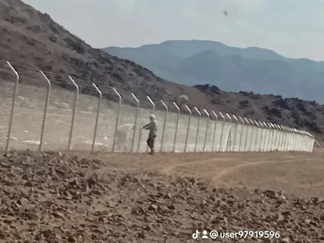 مقاولات عامة